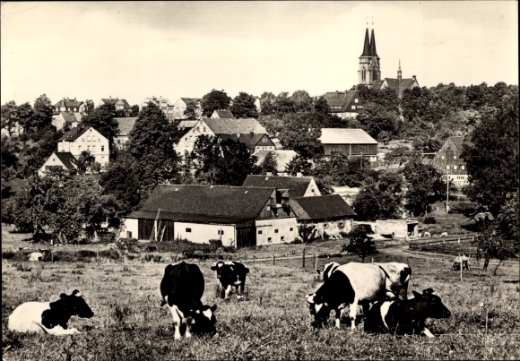 Ak Niederwürschnitz im Erzgebirge Sachsen, Ortsansicht, Kühe
