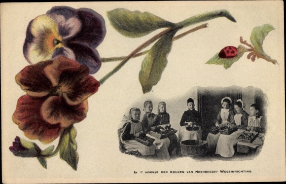 Postcard Niederlande, In the corner of the kitchen of Neerbosch Orphanage, Marienkäfer