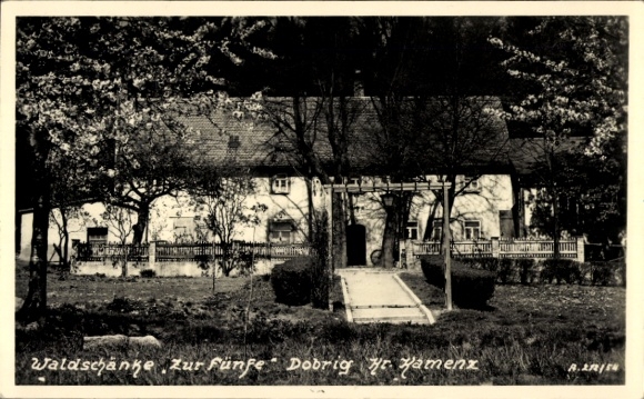 Postcard Elstra in Upper Lusatia Saxony, Waldschänke Zur Fünfe, building with tree, street, meadow,