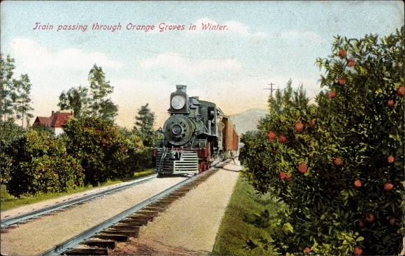 Postcard US American railway, steam locomotive, orange plantation in winter