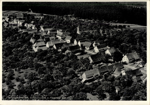 Ak Herzogsweiler Pfalzgrafenweiler im Schwarzwald, Luftaufnahme von  Schwarzwald, viele Häuser