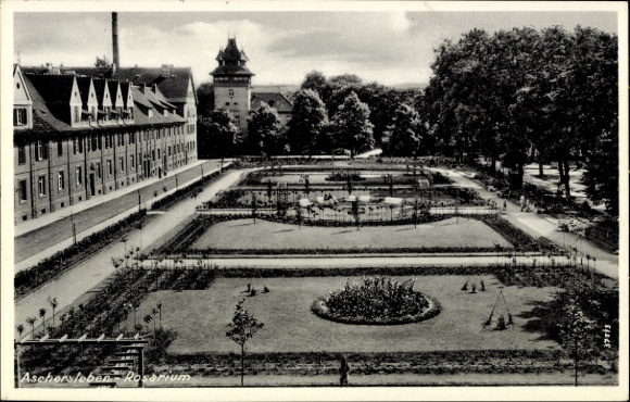 Ak Aschersleben im Salzlandkreis, Gartenlandschaft mit Blumenbeeten, Bäume,  Gebäude, Aussichtspu