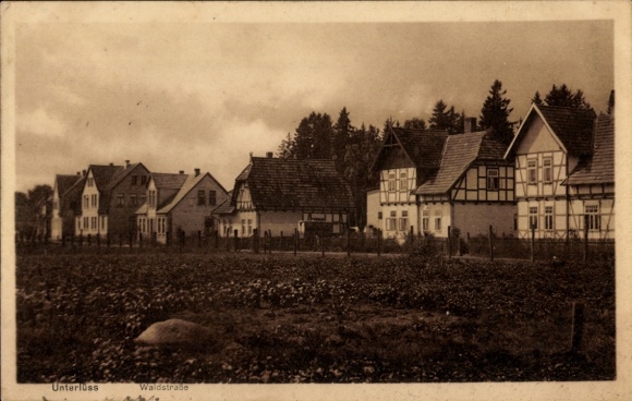 Ak Unterlüß Südheide Nedersaksen, Waldstrasse