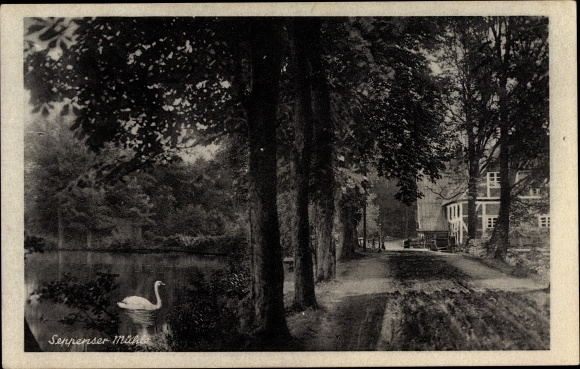 Ak Seppensen Buchholz in de noordelijke heide, Seppenser Mühle, Schwan