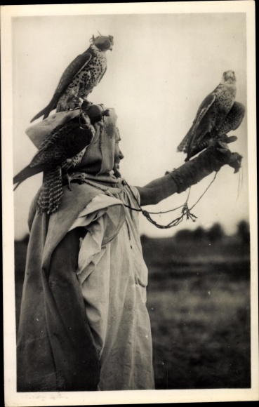 Postcard Fauconnier Arabe, Arabian falconer, falcon on arm