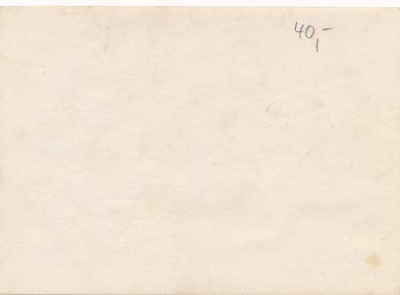 Foto DSW Africa Namibia, ca 1900 - 1904, kudde vee, boerderij