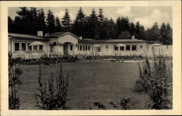 Ak Springhirsch Nützen in Schleswig Holstein, Restaurant Haus Springhirsch