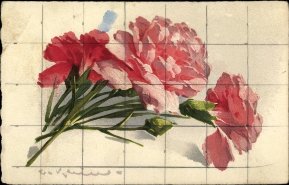 Artist PC Klein, Catharina, pink carnations, blossoms