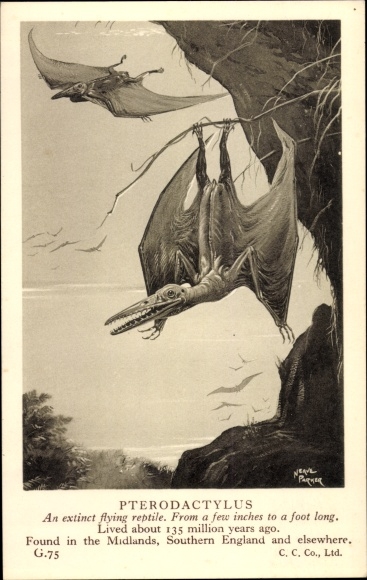 Artist PC Pterodactylus, Flugsaurier