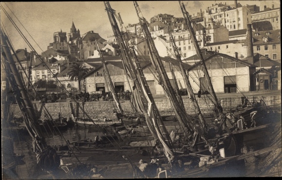 Photo PC Mediterranean?, lot in the harbor, palm tree