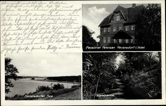 Ak Neversdorf in Schleswig Holstein, Pensionat Petersen, Waldpartie, Neversdorfer See