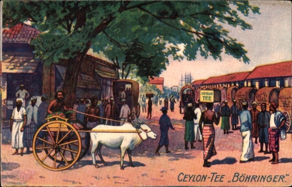 Künstler Ak Ceylon Tee Böhringer, Sri Lanka
