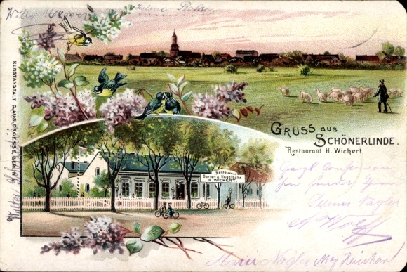 Chromo-Litho Schönerlinde Wandlitz in the Barnim district, Restaurant H. Wickert, flock of sheep, shepherd