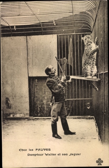 Postcard Chez les Fauves, Tamer Waltor and his Jaguar