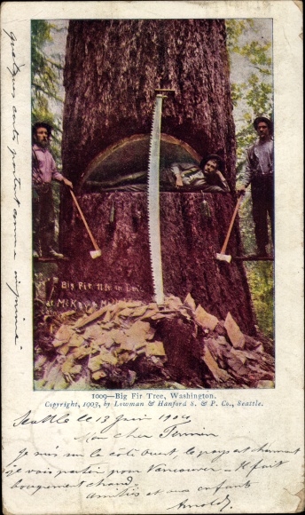 Postcard Washington USA, Lumberjack, Huge Log
