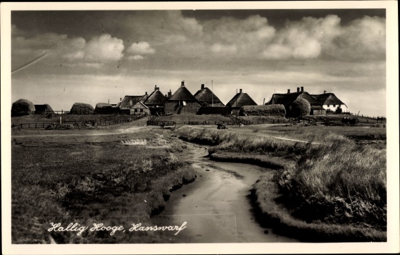 Photo Postcard Hallig Hooge in North Frisia, thatched roof houses, Hanswarf