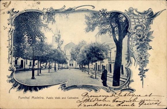 KP Funchal Island Madera Portugalia, spacer publiczny, katedra, zacienione drzewa, domy