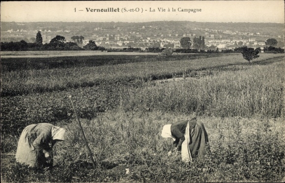 Postcard Vernouillet Yvelines, people working in fields, rural landscape, town in the background
