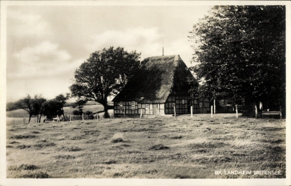 Ak Ahlefeld Bistensee in Schleswig Holstein, Reetdachhaus, Baumgruppe, Wiese, ländliche Umgebung