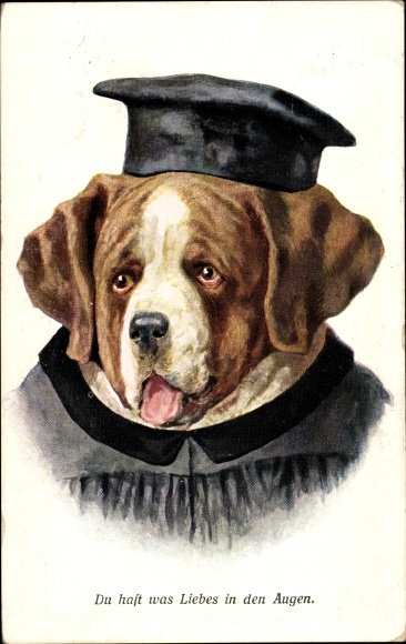 Postcard humanized dog, St. Bernard as a judge, you have something lovely in your eyes