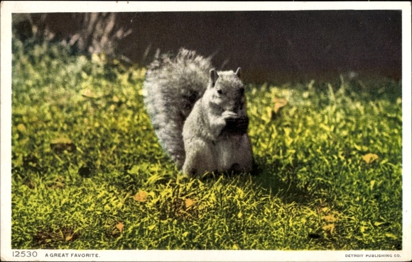 Postcard USA, a big favorite