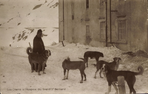 Postcard Grand St. Bernard, Saint Bernard, winter