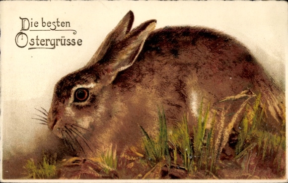 Postcard Happy Easter, Brown Bunny