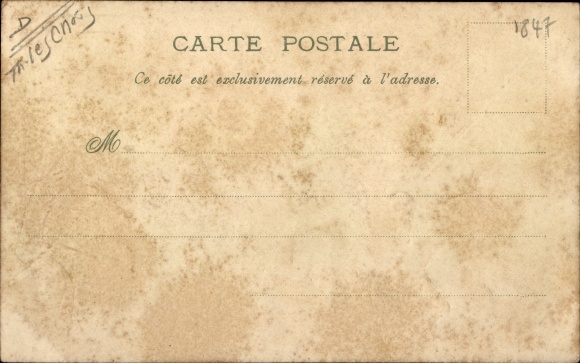Postcard L&#39;Exercice militaire, humanized cats and chimpanzee, bayonets