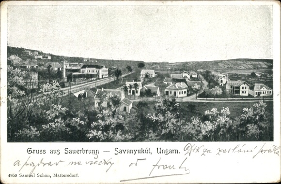 Ak Bad Sauerbrunn im Burgenland, Savanyukùt, Teilansicht