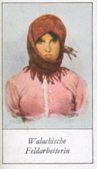 Collector's picture The peoples of Europe, a contribution to racial science, 83 Wallachian field worker