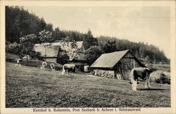 Postcard Ruhestein Baiersbronn in the Black Forest, Kernhof, cow pasture