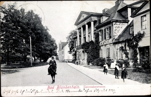 PC Bad Blankenhain in Thuringia, Tannrodaer Strasse, horse