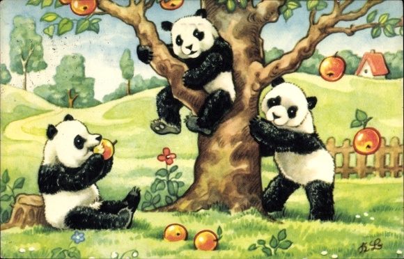 Artist PC Panda bears, apple tree, apples