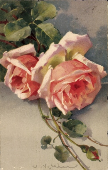 Artist Postcard Catharina Klein, Pink roses, dew drops