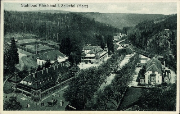 Ak Alexisbad Harzgerode am Harz, Stahlbad Alexisbad, Wald, Gebäude, Park,  