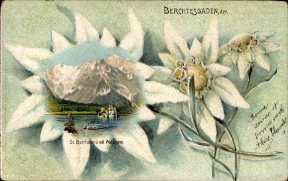 Passepartout Chromo-Litho Sankt Bartholomä Schönau am Königssee, Edelweiss