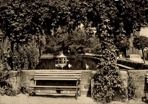 Ak Bischofswerda in Sachsen, Bänke, Teich mit Pavillon, Bäume, Enten, Stadtansicht