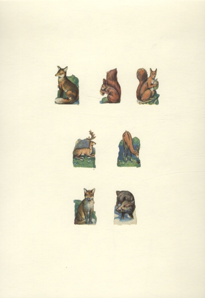 7 wafers wild animals of the forest, each approx. 4 x 2.5 cm