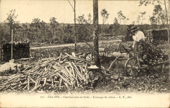 KP Côte d'Or, Charbonniers en forêt, Ecorçage du chêne