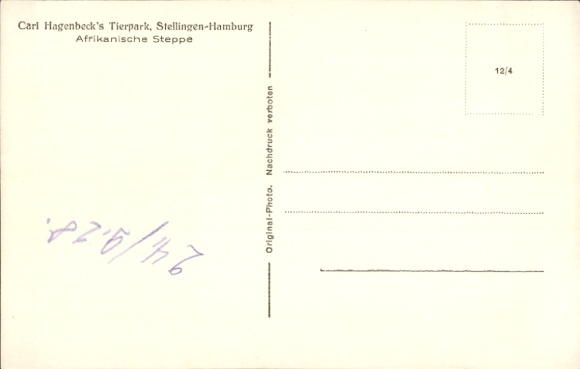 Postcard Hamburg Stellingen, Carl Hagenbeck's Zoo, African Steppe