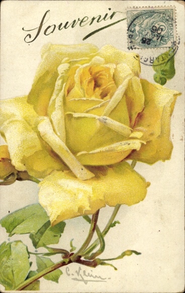 Embossed artist Postcard Klein, C., Yellow Rose