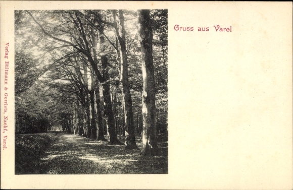 PC Varel in Oldenburg Jadebusen, shady path, trees, greetings from the publisher Bultmann & Gerriets
