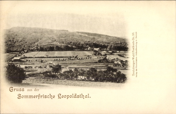 Ak Leopoldstal Horn Bad Meinberg am Teutoburger Wald, Panorama