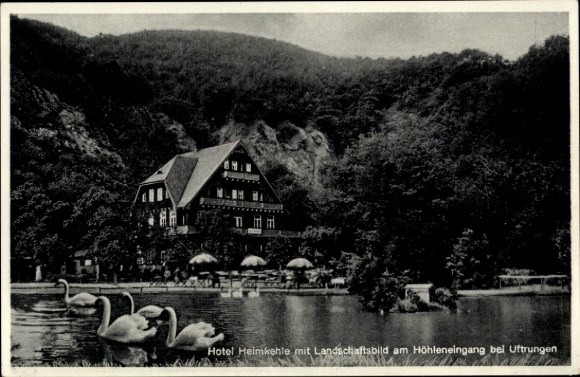 Ak Uftrungen bij Stolberg, Hotel Heimkehle, zwanen
