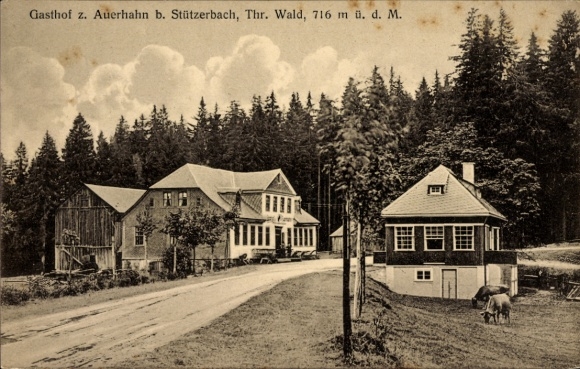 Postcard Stützerbach Ilmenau Thuringian Forest, Gasthof z. Auerhahn, forest, 716 m above sea level, building, Waldla