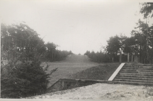 Original Fotos Berlin Zehlendorf, Onkel-Toms-Hütte, Rodelbahn im Park, um 1946, ca. 12x17 cm