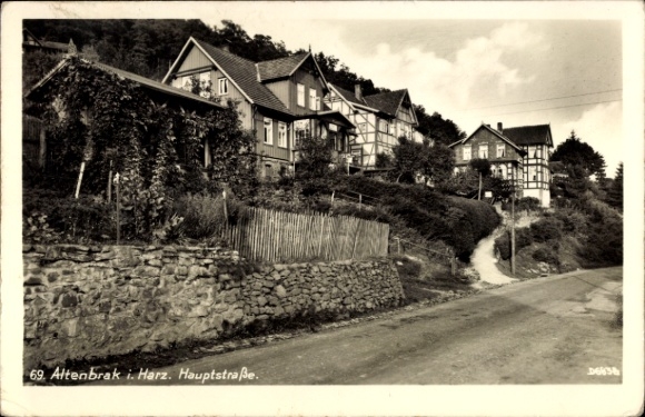 Ak Altenbrak Thale im Harz,  Hauptstraße, Häuser, Straße, Natur
