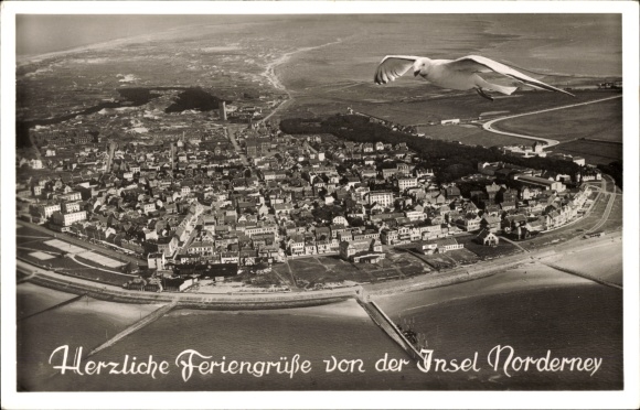 Postcard North Sea resort Norderney East Frisia, aerial photo, seagull