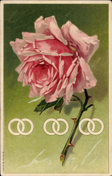 Artist Chromo-Litho Klein, Catharina, Rose