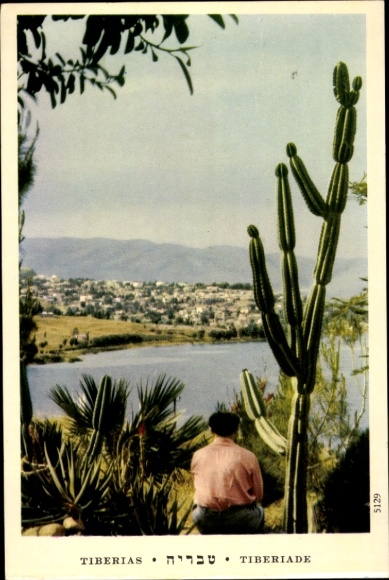 Postcard Tiberias Israel, view of the place, cacti